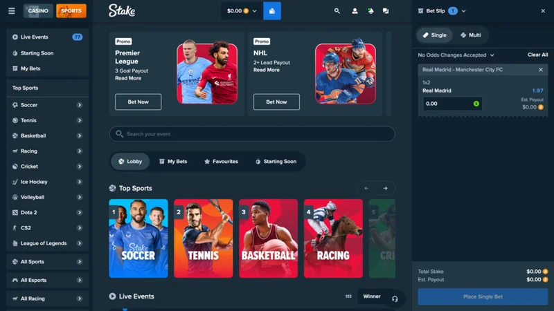 Interface do Stake Casino